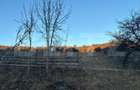 Teren Intravilan, 65000mp, Valea Slatinitei - 2