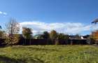Casă P+1+M de vânzare – Siminicea, județul Suceava – 270 mp construiți – Teren 2 - 4
