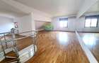 Exclusivitate/Iancu Nicolae, vila cu 6 camere de vanzare, 368 mp - 4