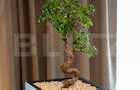 Apartament cu 2 camere, Premium, 57 mp, Silk District - 5