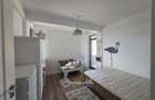 Duplex - Valea Lupului - 600metri Antibiotice - 9