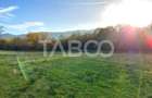 Teren de vanzare 17.000 mp in vecinatatea padurii Dumbrava - 2