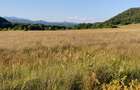 Vața TermalSpa.Transilvania.Drumul Regelui. - 5