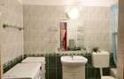 Lunei - Ion Neculce, 2 Apartamente. Mansarda 157 mp. Anexe, Lot 475 mp - 12