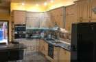 Case moderne x 2 cu 315 mp utili impreuna si teren 500 mp in Terezian - 4