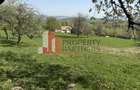 Terenuri Bran - Predelut  Priveliște către Bucegi și Postăvaru - 5