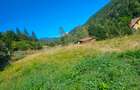 Teren intravilan 852 mp în Săticul de Jos Arges–vedere spre Piatra Craiului - 2
