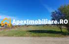 Corbeanca - Tamasi | Teren 1225mp, deschidere 44ml | Utilitati la 50m - 6