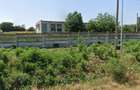 Fermă viticolă 98 ha + platformă agricolă Șuletea, Vaslui, Fonduri UE - 2