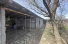 Mitreni-Valea Rosie-Acasa la Tara -4 camere-178 mp-LOT  1000 mp+Casa secundara - 48