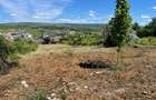 Ocazie! Visan TEREN 1616mp intravilan lot pt constructie casa - 2
