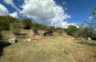 Teren intravilan, 2.700 mp, zona Viisoara - 2