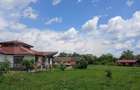 Casa superba in Tinca, 225 mp, 20 ari luciu de apa, teren fotbal, spatii verzi - 8