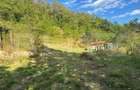 Gospodărie cu 10.900 mp teren, 3 constructii, Cainelu de Sus