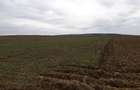 RECO Teren in Santandrei 29 100mp - 3