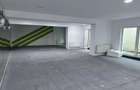 Spatiu comercial - Banu Manta - 1