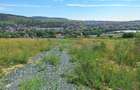 Teren intravilan 5.800 mp, Baciu Vatra Satului Vechi, Panorama superba - 12
