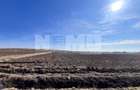 Vanzare I Teren I Suceava/Stroiesti I 100 ARI 2999 Euro/Ar - 1