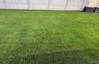 Duplex superb cu 4 camere si 3 bai | Dumbravita - 12