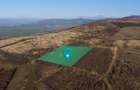 Vita-de-vie Premium  teren de 6800 mp în Covăsinț - 1