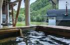 Cabana/Casa de vacanta in Molid, SV, 136 mp, teren cu 3300 mp, Iaz cu pesti - 4