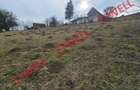 Teren extravilan de vânzare în Sărămaș, pe punctul de numit ,,PARAIE,, - 2