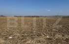 Teren intravilan de vanzare,2900mp - Soseaua de centura - 3