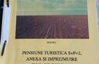 Teren intravilan 6000 mp Adunatii Copaceni Giurgiu deschidere la DN 5 - 4