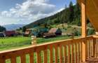 Royal Imobiliare - Vanzare vila/pensiune in zona Harghita - 46