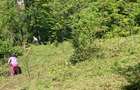 DOMENIU EXCLUSIVIST Băile Govora: 2500 mp cu Helesteu, Pârâu, Pădure, Utilități - 2