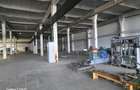 Inchiriere depozit/hala/spatiu industrial Buftea - DN1A, ILFOV - 13