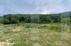 Proprietate pentru turism și agrement, 7.000 mp teren – Ghelința - 7
