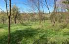 Vand teren intravilan in Albesti de Muscel