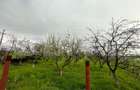 Teren intravilan, 4447 mp, 28 ml deschidere, Pielesti - 12