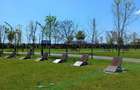 Apartament modern, 2 camere, imobil nou, zona Grand Arena Mall - 13