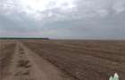 Oferim spre vanzare 6 loturi de teren extravilan (agricol) in Petrachioaia ILFOV - 6