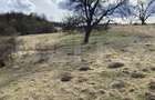 Teren extravilan in suprafata de 7500 mp la poalele Mesesului - 1
