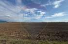 VANZARE TEREN intravilan 26.500 mp -BUFTEA - INDUSTRIAL / COMERCIAL - 4