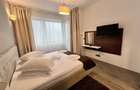 Apartament confortabil 3 cam Silver Mountain - 7
