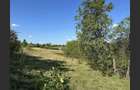 Vânzare teren Reșița: 17260 mp, Calea Caransebeșului
 - 2