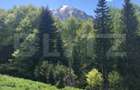 De vanzare, teren intravilan 5.500mp, Predeal - 4