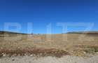 Teren extravilan, 17.000 mp, zona Almasu Mic - 1