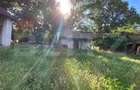 Teren intravilan, 9100 mp, potential dezvoltare imobiliara, zona Dragsina - 6