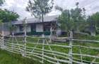 VANZARE CASA | TEREN 2.500 MP | LIVADA SI GRADINA | COMUNA BEUCA, TELEORMAN - 12