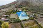 Teren intravilan NICULITEL, zona deosebita, 3044MP - 5