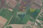 Comision 0% | Teren extravilan agricol 20.000 mp | Cristian, Brașov - 9
