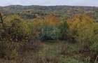 Vanzare sau Schimb! Central Drajna de Jos 5000 mp - 8