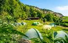 Transilvania Camping, domeniu de 14.400mp,Sanmarghita de Mures:2cladiri, apartam - 5