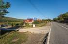Gospodărie, casă nouă (2024), 170 mp, 6.300 mp intravilan, 0% comision - 24