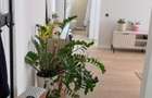 Apartament 2 camere 42 mp - Piata Amzei- Romana - 5